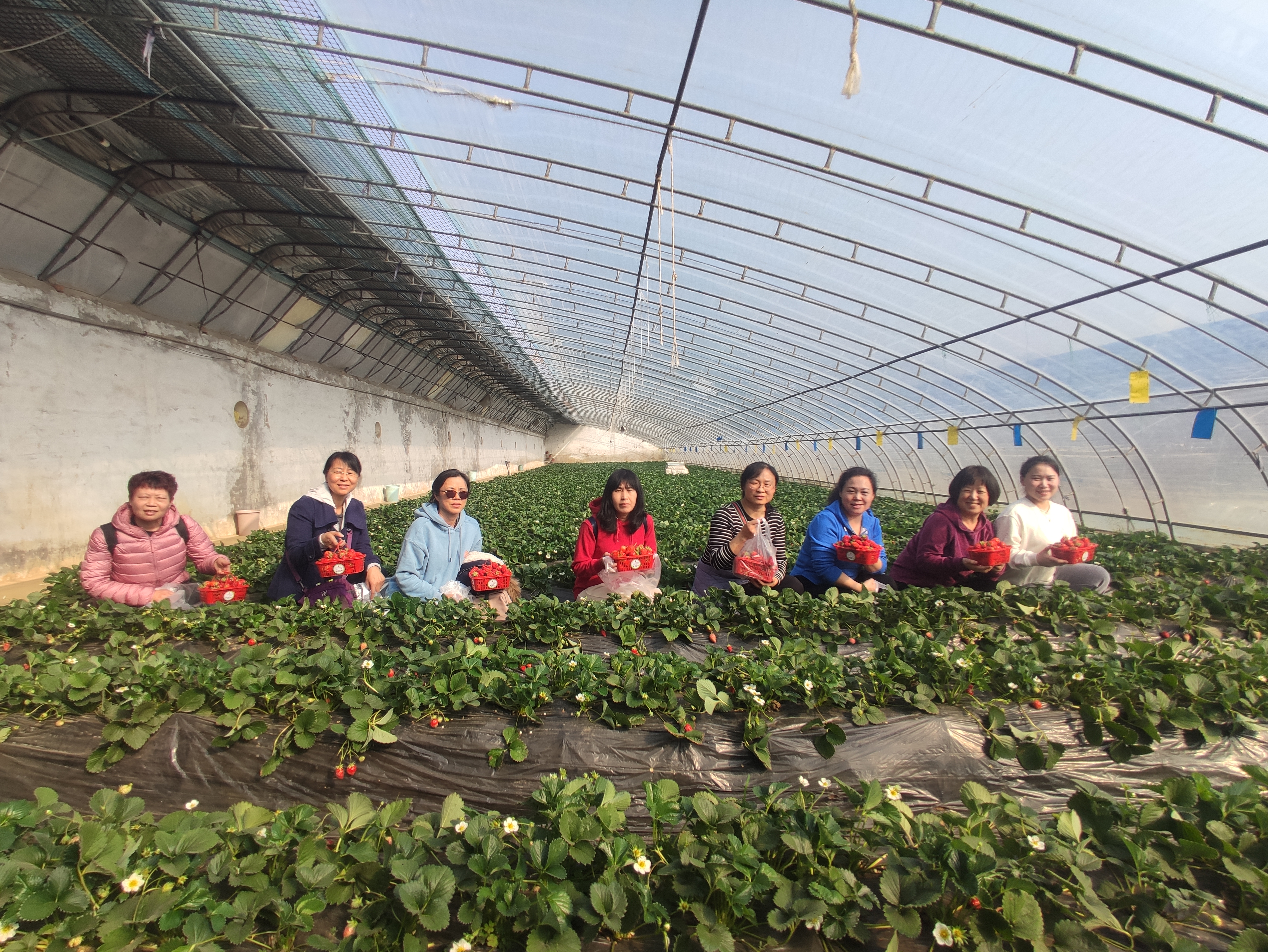 永乐国际·F66(中国游)官方网站