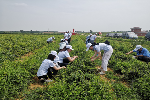 永乐国际·F66(中国游)官方网站